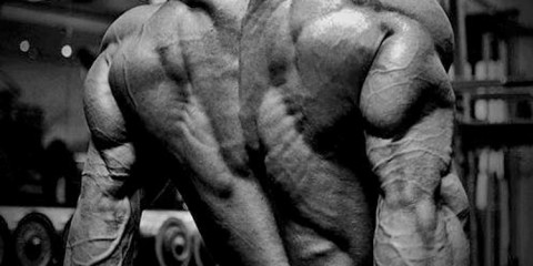 Bodybuilding-Motivation