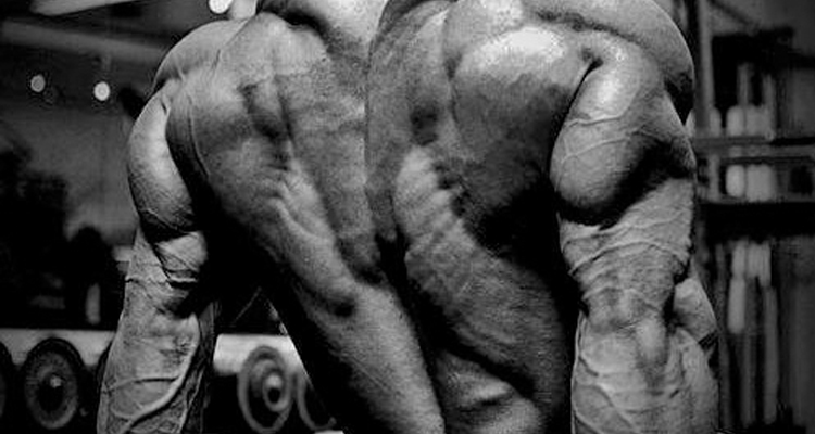 Bodybuilding-Motivation