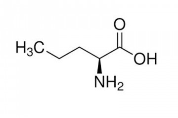 L-Norvaline-Reviews