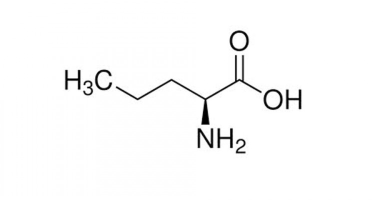 L-Norvaline-Reviews