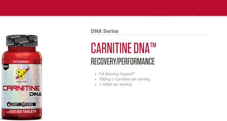 BSN-Carnitine-DNA-Series