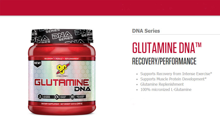 BSN-Glutamine-DNA-Series