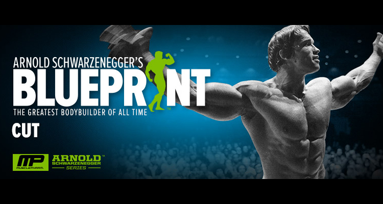 Blueprint to Cut - Interview with Arnold Schwarzenegger