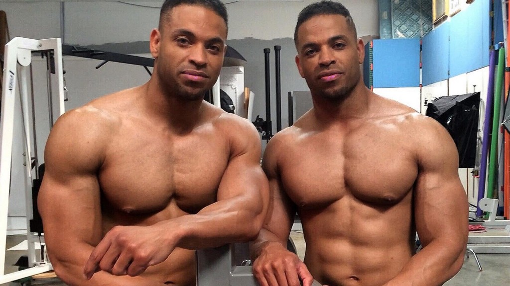 hodgetwins